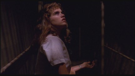 A Nightmare on Elm Street: DVD Image Vault
