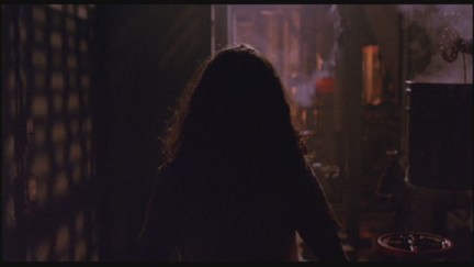 A Nightmare on Elm Street: DVD Image Vault