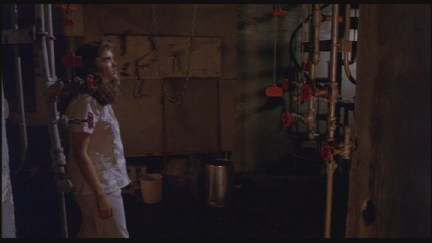A Nightmare on Elm Street: DVD Image Vault