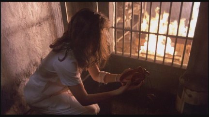 A Nightmare on Elm Street: DVD Image Vault