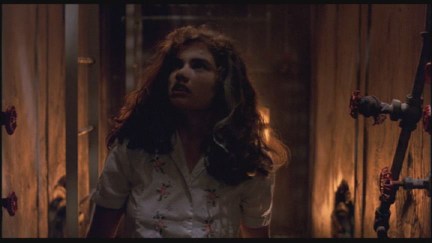 A Nightmare on Elm Street: DVD Image Vault