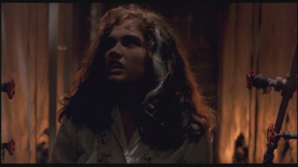 A Nightmare on Elm Street: DVD Image Vault