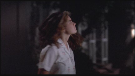 A Nightmare on Elm Street: DVD Image Vault