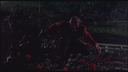 A Nightmare on Elm Street: DVD Image Vault