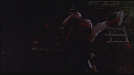 A Nightmare on Elm Street: DVD Image Vault