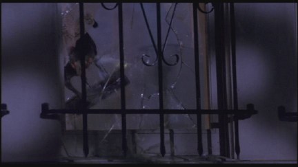 A Nightmare on Elm Street: DVD Image Vault