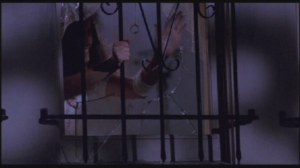 A Nightmare on Elm Street: DVD Image Vault