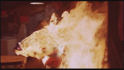 A Nightmare on Elm Street: DVD Image Vault