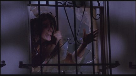 A Nightmare on Elm Street: DVD Image Vault