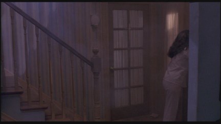 A Nightmare on Elm Street: DVD Image Vault