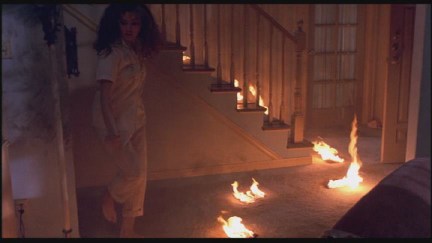 A Nightmare on Elm Street: DVD Image Vault