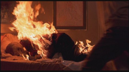A Nightmare on Elm Street: DVD Image Vault