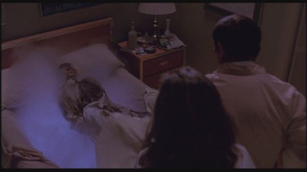 A Nightmare on Elm Street: DVD Image Vault
