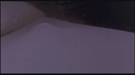 A Nightmare on Elm Street: DVD Image Vault