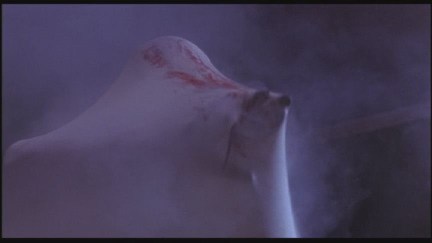 A Nightmare on Elm Street: DVD Image Vault
