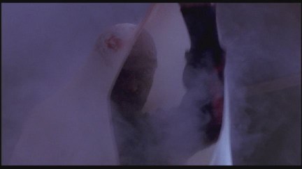 A Nightmare on Elm Street: DVD Image Vault