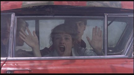 A Nightmare on Elm Street: DVD Image Vault