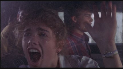 A Nightmare on Elm Street: DVD Image Vault