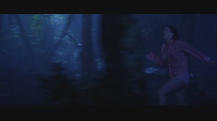 Freddy vs. Jason: DVD Image Vault Gallery