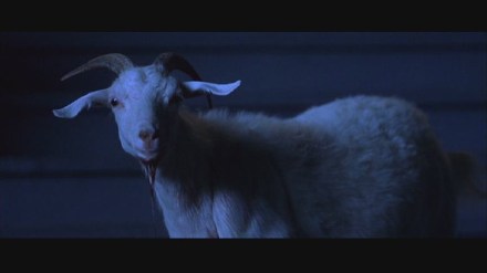 Freddy vs. Jason: DVD Image Vault Gallery