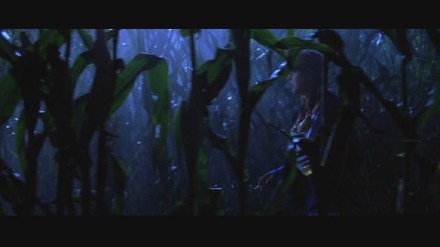 Freddy vs. Jason: DVD Image Vault Gallery