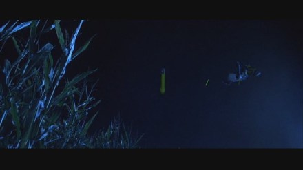 Freddy vs. Jason: DVD Image Vault Gallery