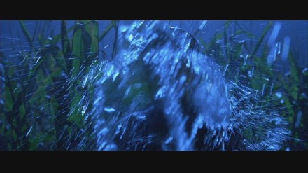 Freddy vs. Jason: DVD Image Vault Gallery