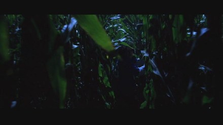 Freddy vs. Jason: DVD Image Vault Gallery