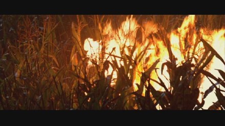 Freddy vs. Jason: DVD Image Vault Gallery