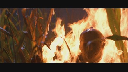 Freddy vs. Jason: DVD Image Vault Gallery