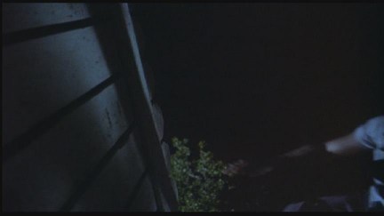 Freddy's Dead: The Final Nightmare DVD Image Vault Gallery