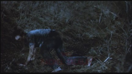 Freddy's Dead: The Final Nightmare DVD Image Vault Gallery