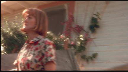 Freddy's Dead: The Final Nightmare DVD Image Vault Gallery