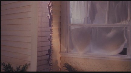 Freddy's Dead: The Final Nightmare DVD Image Vault Gallery