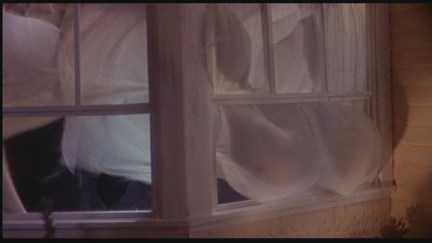 Freddy's Dead: The Final Nightmare DVD Image Vault Gallery