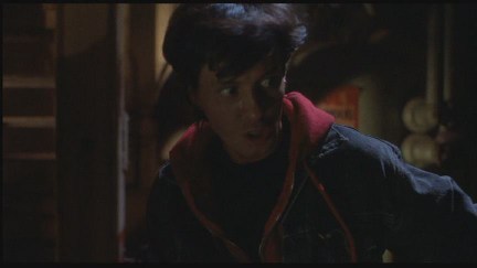 Freddy's Dead: The Final Nightmare DVD Image Vault Gallery