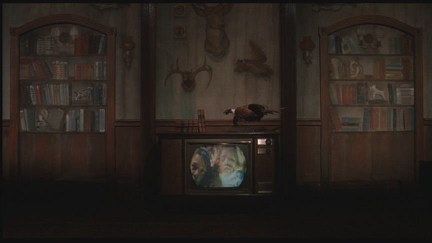 Freddy's Dead: The Final Nightmare DVD Image Vault Gallery