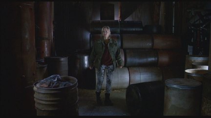 Freddy's Dead: The Final Nightmare DVD Image Vault Gallery