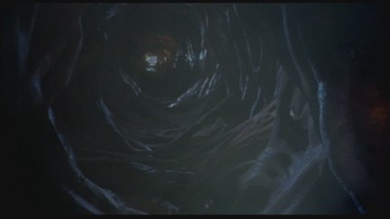 Freddy's Dead: The Final Nightmare DVD Image Vault Gallery