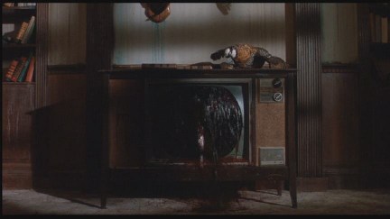 Freddy's Dead: The Final Nightmare DVD Image Vault Gallery