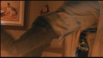 Freddy's Dead: The Final Nightmare DVD Image Vault Gallery
