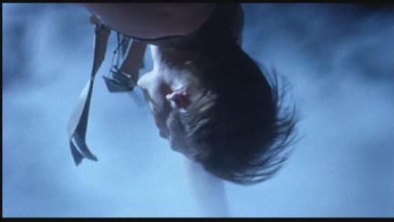 Freddy's Dead: The Final Nightmare DVD Image Vault Gallery