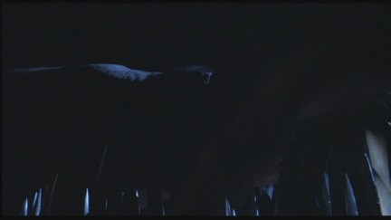 Freddy's Dead: The Final Nightmare DVD Image Vault Gallery