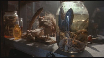 Freddy's Dead: The Final Nightmare DVD Image Vault Gallery