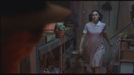 Freddy's Dead: The Final Nightmare DVD Image Vault Gallery