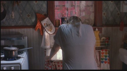 Freddy's Dead: The Final Nightmare DVD Image Vault Gallery