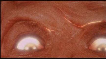 Freddy's Dead: The Final Nightmare DVD Image Vault Gallery
