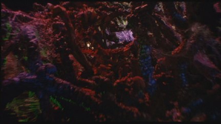 Freddy's Dead: The Final Nightmare DVD Image Vault Gallery