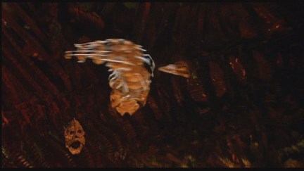 Freddy's Dead: The Final Nightmare DVD Image Vault Gallery