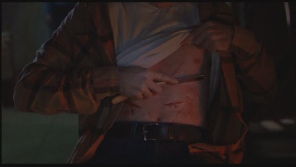 Freddy's Dead: The Final Nightmare DVD Image Vault Gallery